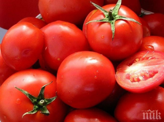 Българският домат идва на пазара малко преди Великден на цена
