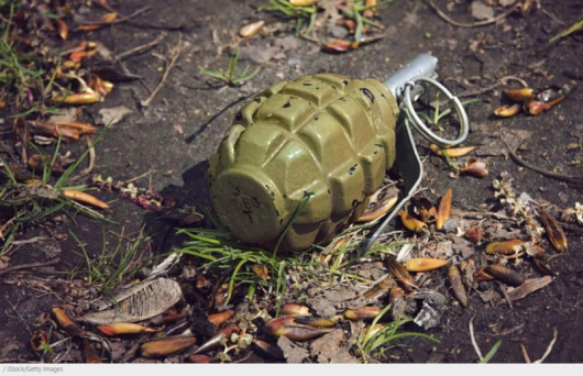 Невзривена граната е намерена в частен имот в Радомир, съобщи