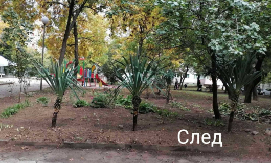 Служители на ОП Озеленяване“ облагородиха поредното зелено пространство в Благоевград.