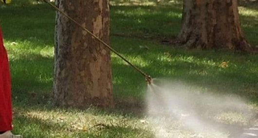 Община Сандански продължава активната обработка срещу комари в град Сандански
