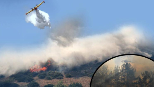 От няколко дни Гърция е обхваната от пожари Властите продължават