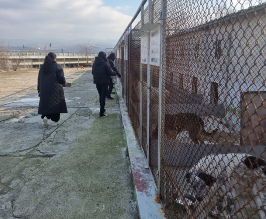 Приюта за кучета в Благоевград търси мъже доброволци които да